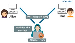 Basic Network Attacks in Computer Network