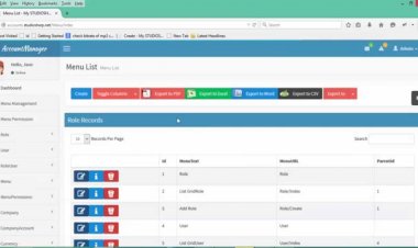 Accounting Management System