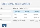 How To Display MySQLi Result In DataTable