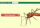 Malaria Diagnosis Management System Using PHP
