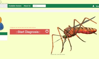 Malaria Diagnosis Management System Using PHP