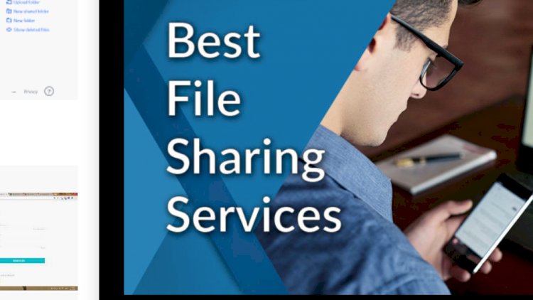 Best file sharing services