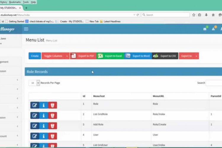 Accounting Management System