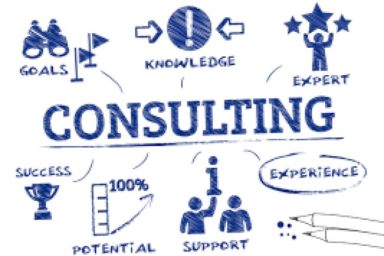 Consultant System